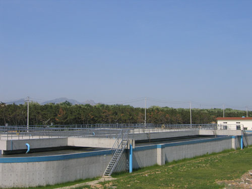 BAF3